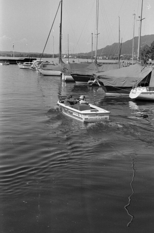 Wasserskifahren auf dem Bodensee