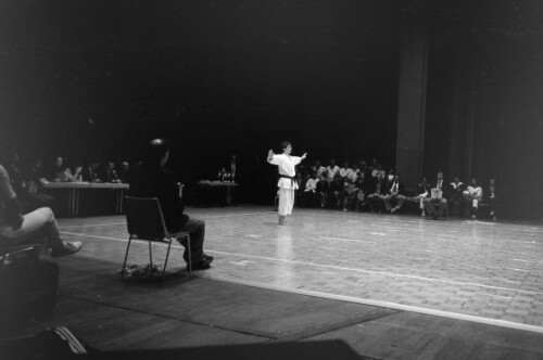 Karate-EM in Bregenz