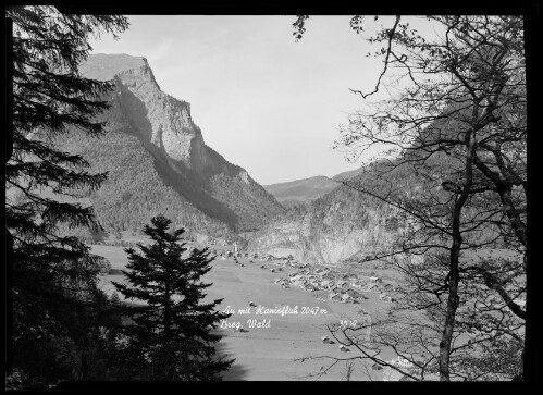 Au mit Kanisfluh 2047 m Breg. Wald