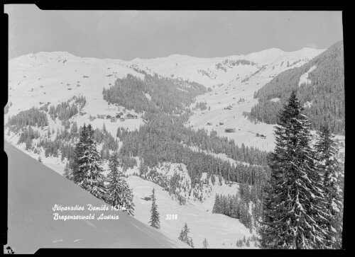 Skiparadies Damüls 1431 m Bregenzerwald Austria
