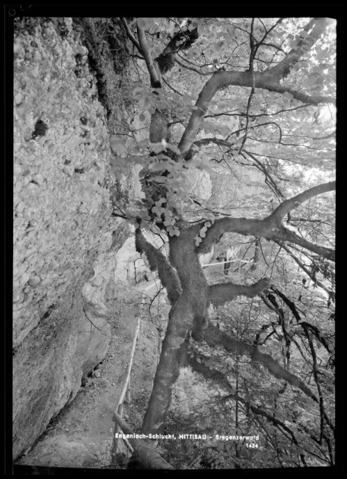 Engenloch-Schlucht, Hittisau - Bregenzerwald