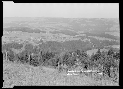 Krumbach mit Bärentobelbrücke Breg. Wald