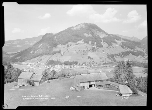 Blick von der Alpe Schönboden auf Mellau, Bregenzerwald