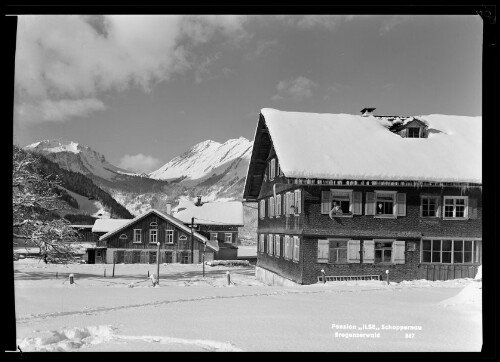 Pension  Ilse  Schoppernau Bregenzerwald