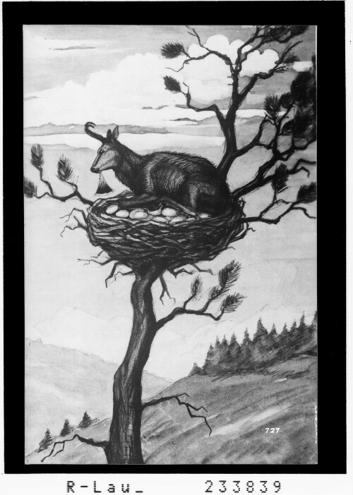 [Gemsennest mit Gemse]