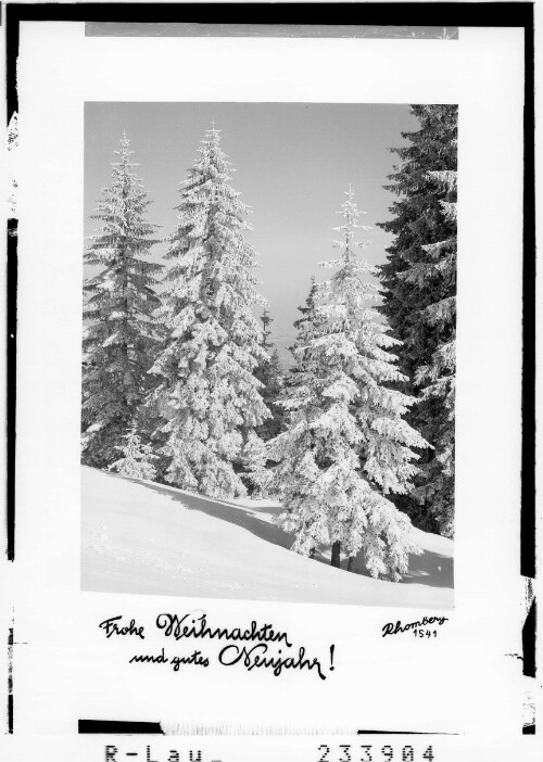 Frohe Weihnachten und gutes Neujahr : [Wintermotiv - verschneite Tannen]