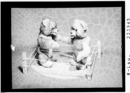 [Teddybären beim Boxen]