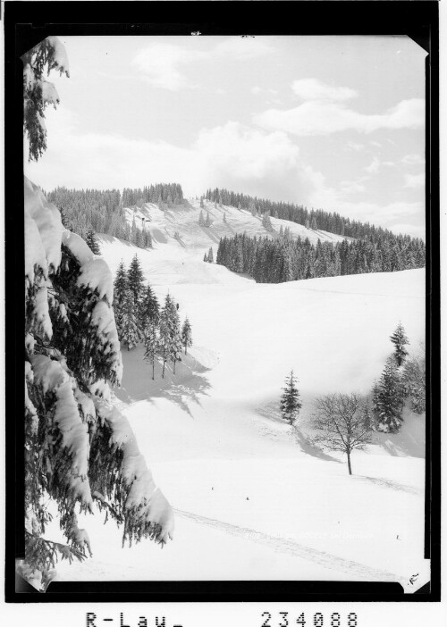 Lank am Bödele bei Dornbirn