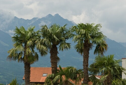 Thüringen - Gärtnerei Müller