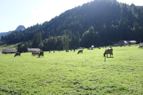 Bezau - Schönenbach