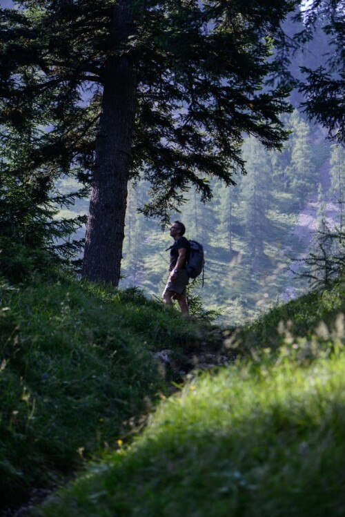 Blumen in Nenzing - Gamperdona