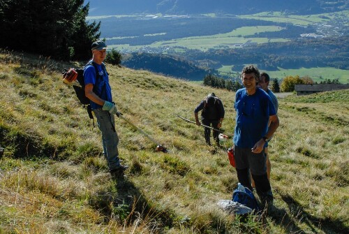 Dünserberg - Skipistenpflege