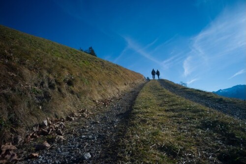 Dünserberg im Herbst