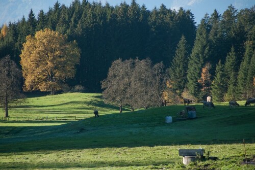 Herbstliches Röns