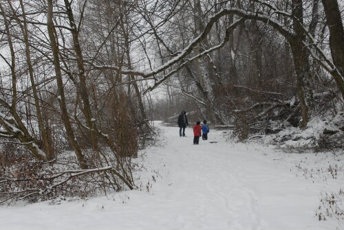 Lustenau - Alter Rhein im Winter