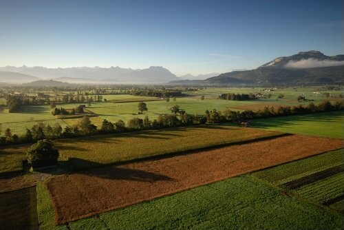 Rheintal - Blick in die Berge