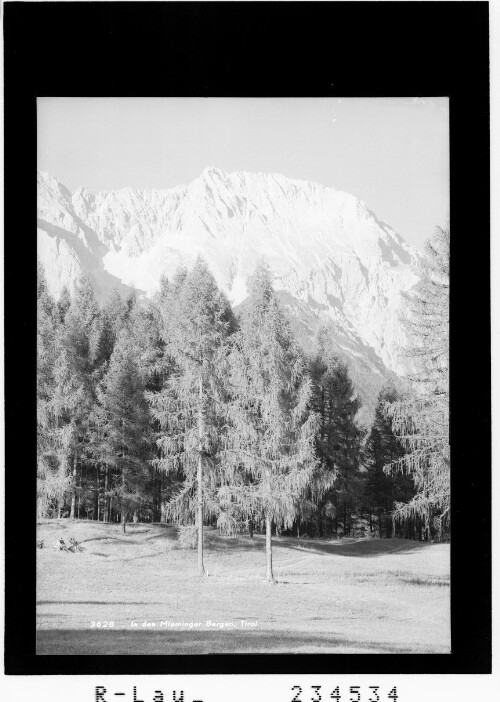 In den Mieminger Bergen / Tirol : [Blick zum Hochplattig]