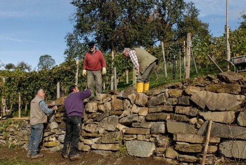 Röns - Natursteinmauern