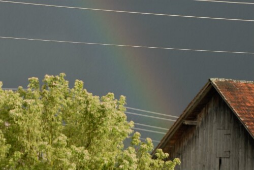 Röns - Regenbogen