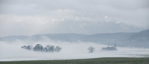 Schlins - Feld mit Nebel