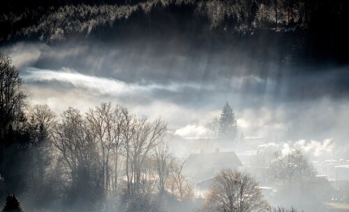 Schlins mit Bodennebel