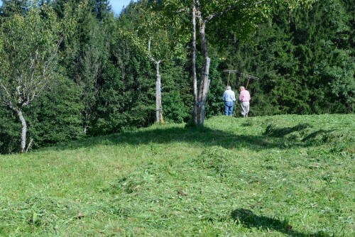 Sonntag - Heuernte bei Fam. Burtscher
