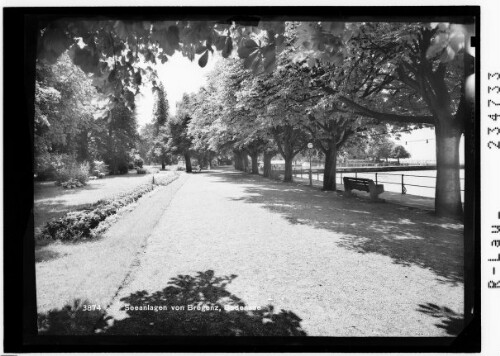 Seeanlagen von Bregenz / Bodensee