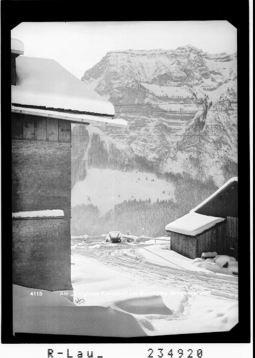 Am Berghaus Kanisfluh bei Schnepfau / Bregenzerwald