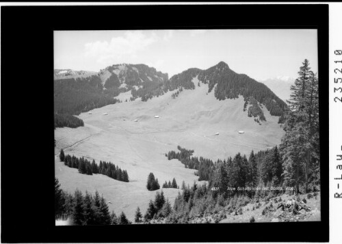 Alpe Schuttannen mit Säntis / Vorarlberg