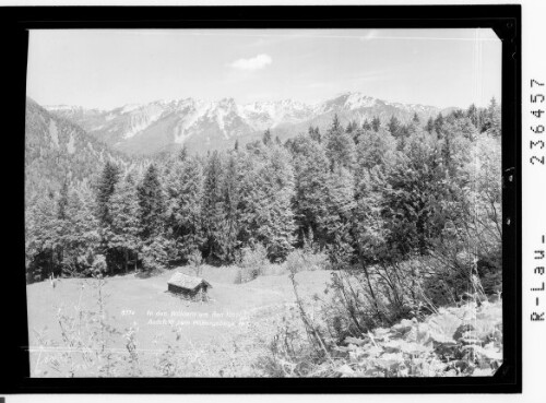 In den Wäldern von Bad Ischl / Aussicht zum Höllengebirge