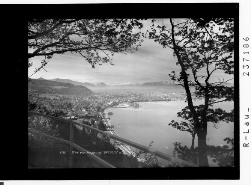 Blick vom Haggen auf Bregenz am Bodensee / Vorarlberg