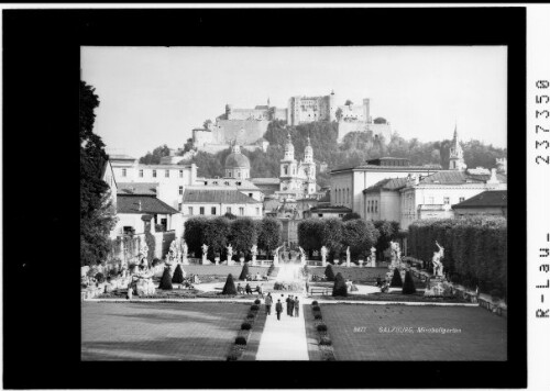 Salzburg / Mirabellgarten : [Mirabellgarten gegen Dom und Festung Hohensalzburg]