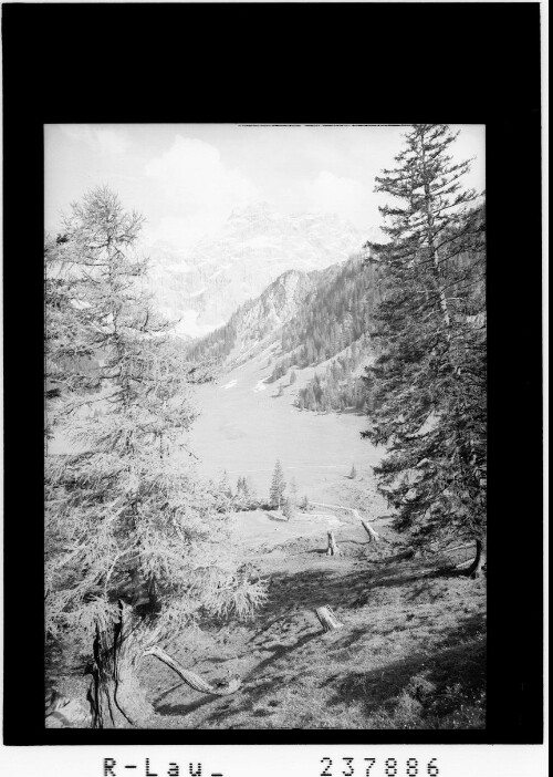 [Nenzinger Himmel / Blick auf das Zigerbödele gegen den Panüler]