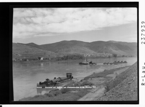 Donautal mit Joching und Weissenkirchen in der Wachau / Niederösterreich