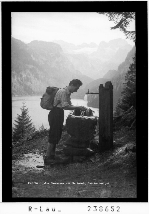 Am Gosausee mit Dachstein / Salzkammergut