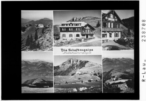 Die Schafbergalpe