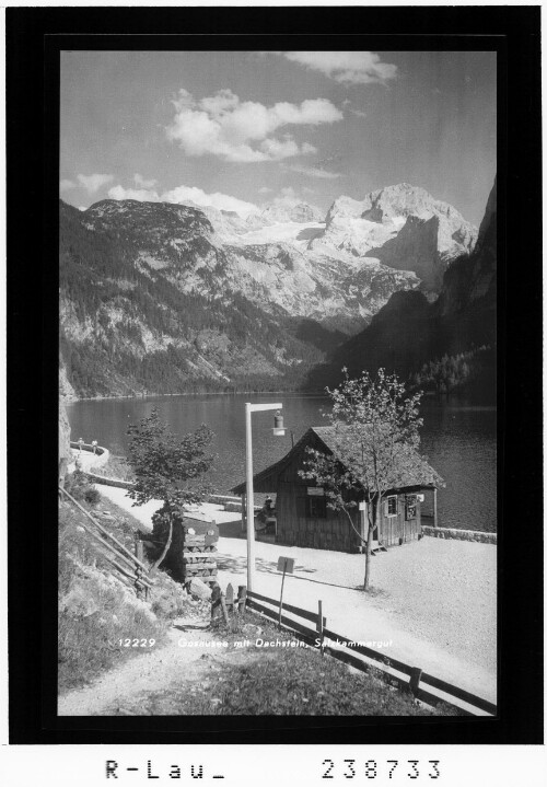 Gosausee mit Dachstein / Salzkammergut