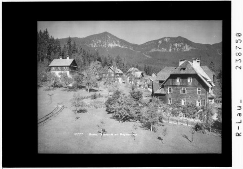 Gosau / Teilansicht mit Brigitta-Heim