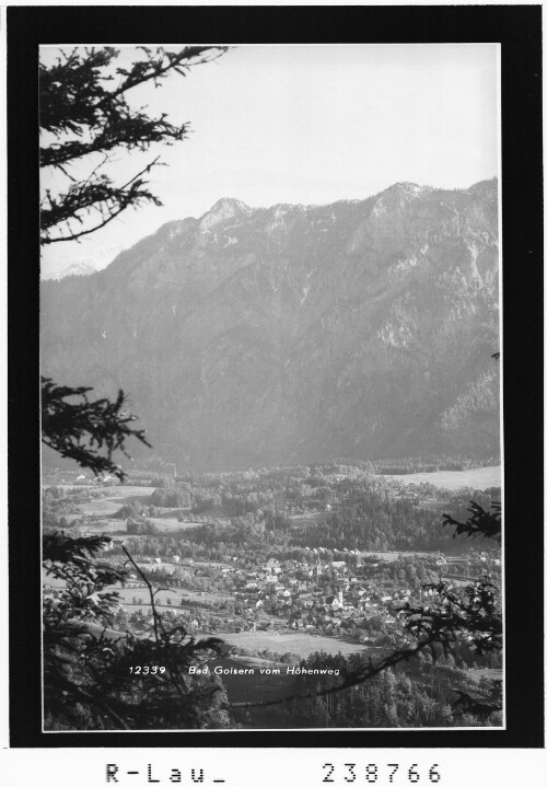 Bad Goisern vom Höhenweg