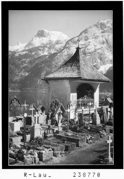 Hallstatt / Friedhofpartie : [Blick vom Friedhof in Hallstatt zum Krippenstein]