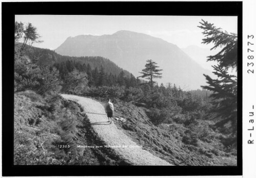 Höhenweg zum Hütteneck bei Goisern