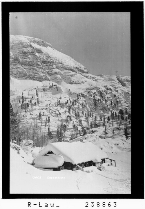 Krippenbrunn : [Skihütte bei Krippenbrunn mit Blick zum Krippenstein]