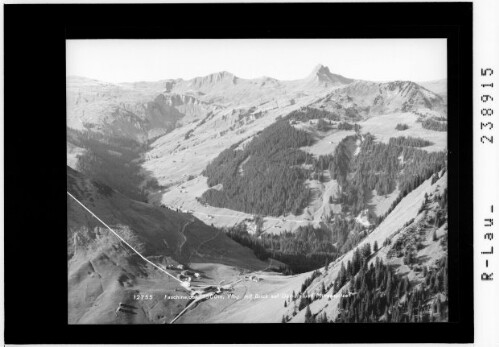 Faschinajoch 1500 m / Vorarlberg / mit Blick auf Damüls und Mittagspitze