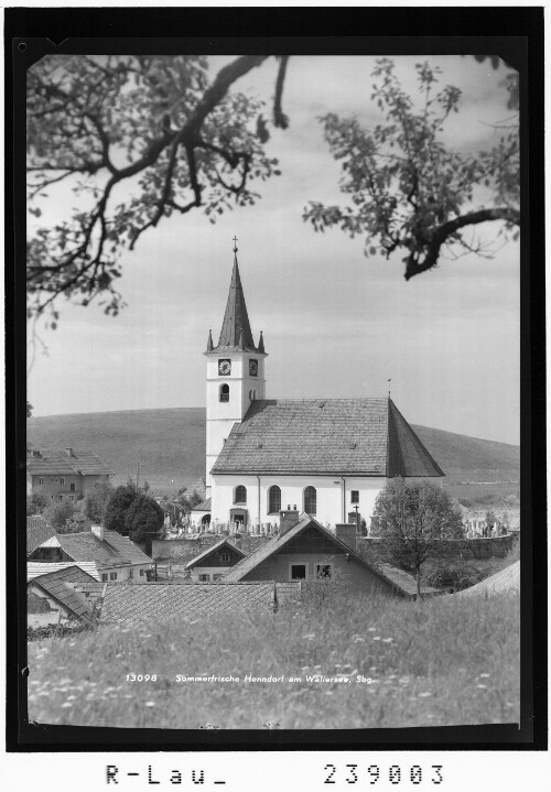 Sommerfrische Henndorf am Wallersee / Salzburg