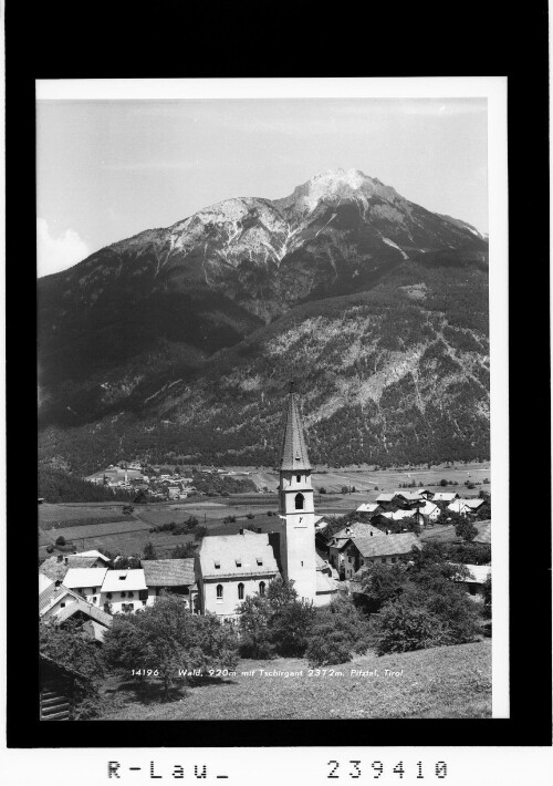 Wald 920 m mit Tschirgant 2372 m / Pitztal / Tirol : [Wald bei Arzl im Pitztal]