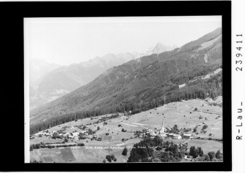 Wald 920 m mit Acherkogel 3010 m / Pitztal / Tirol : [Wald bei Arzl im Pitztal]