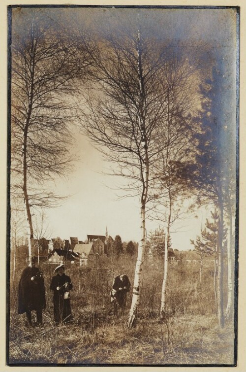 Linkes Achufer bei Lauterach