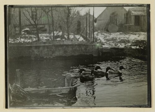 Wirtschaftshof Kloster Mehrerau