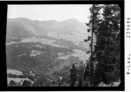 [Blick zur Winterstaude]