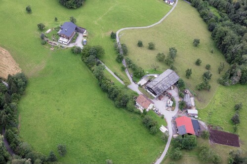 [Bregenz - Pfänderhang - Landwirtschaft]